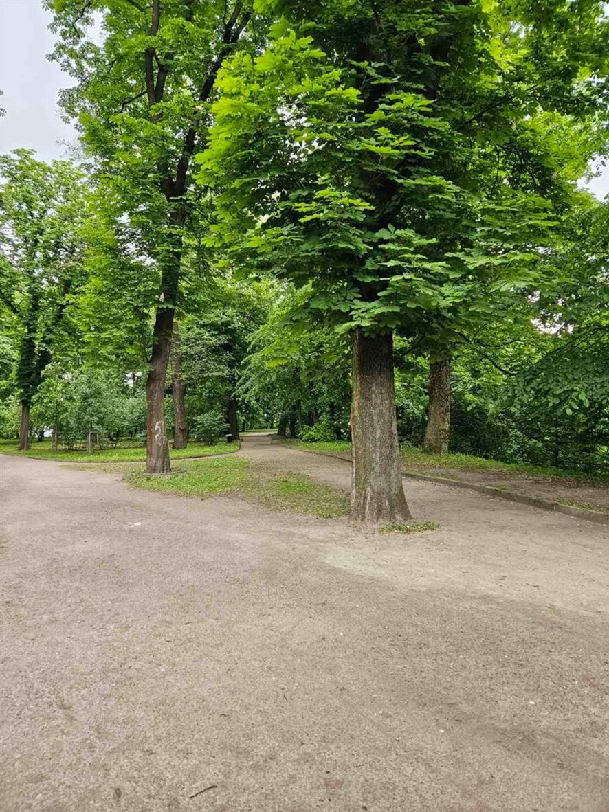 Отель Lion Hill Львов Экстерьер фото